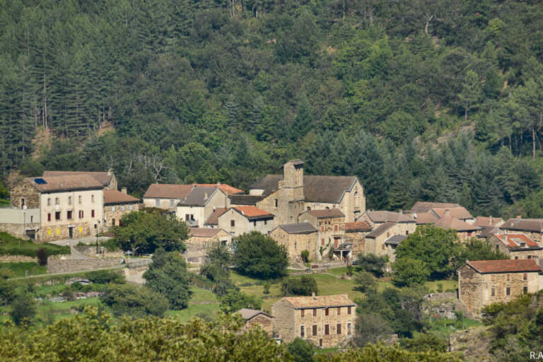 village7