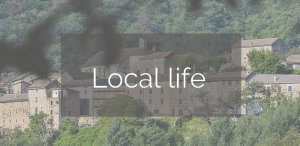 local-life-2