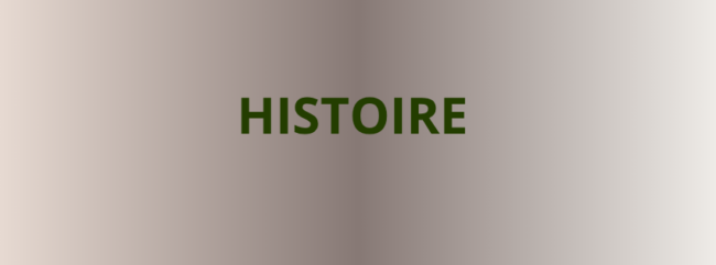 Couverture Facebook – FESTIVITÉS DE L’ÉTÉ