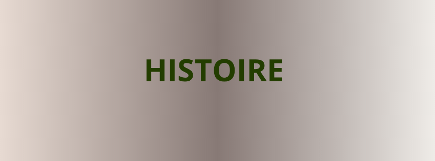 Couverture Facebook – FESTIVITÉS DE L’ÉTÉ